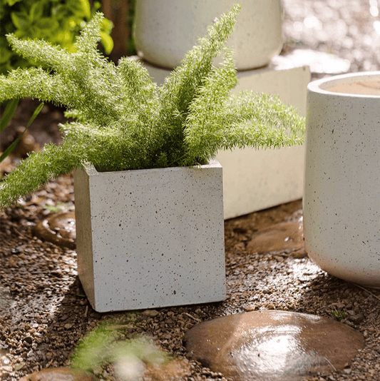 Modern White Planter Square by RusticReach with speckled concrete finish and plant in gravel on Tampa Home & Garden Store