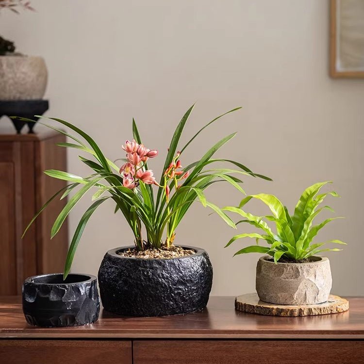 Mesa Cement Pot Planter set of 3 black and natural cement pots with green plants on Tampa Home & Garden Store