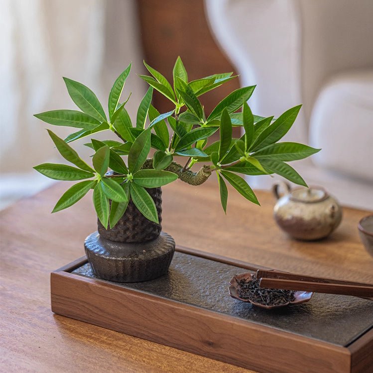 Mini faux potted green plant RusticReach; artificial non-flowering in black textured pot on tray on Tampa Home & Garden Store