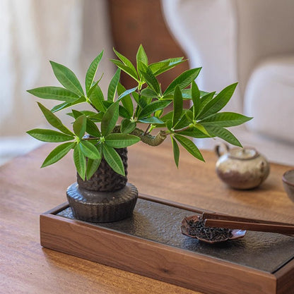 Mini faux potted green plant RusticReach; artificial non-flowering in black textured pot on tray on Tampa Home & Garden Store