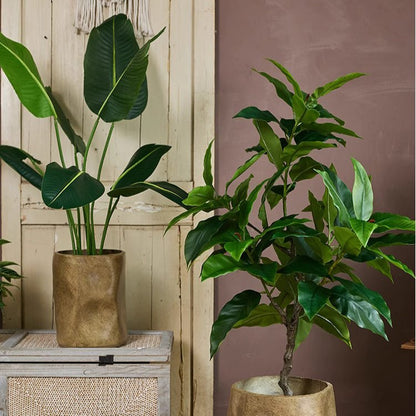 Modern Magnesium Planter set by RusticReach; two gold-toned planters with green leaves on Tampa Home & Garden Store