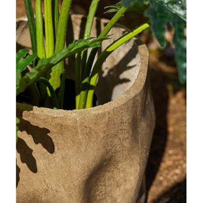 Modern Magnesium Planter by RusticReach; earthy, concrete-style planter with green stems on Tampa Home & Garden Store