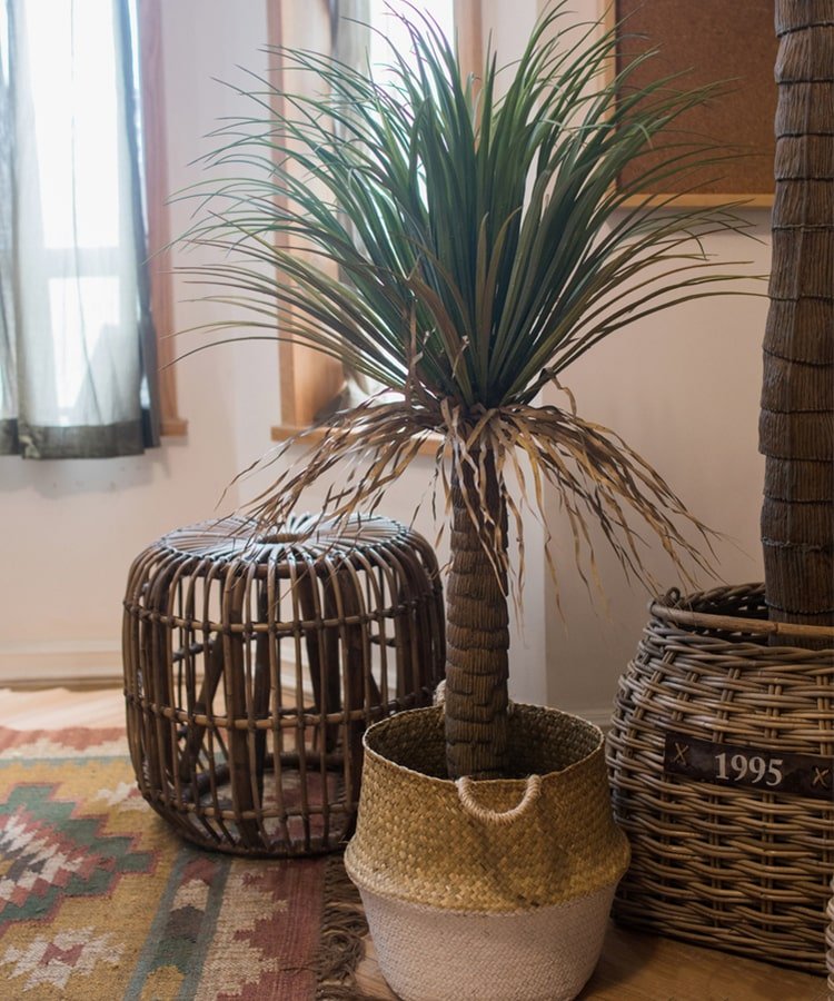 RusticReach Moroccan artificial palm tree in a woven two-tone pot with green fronds on Tampa Home & Garden Store