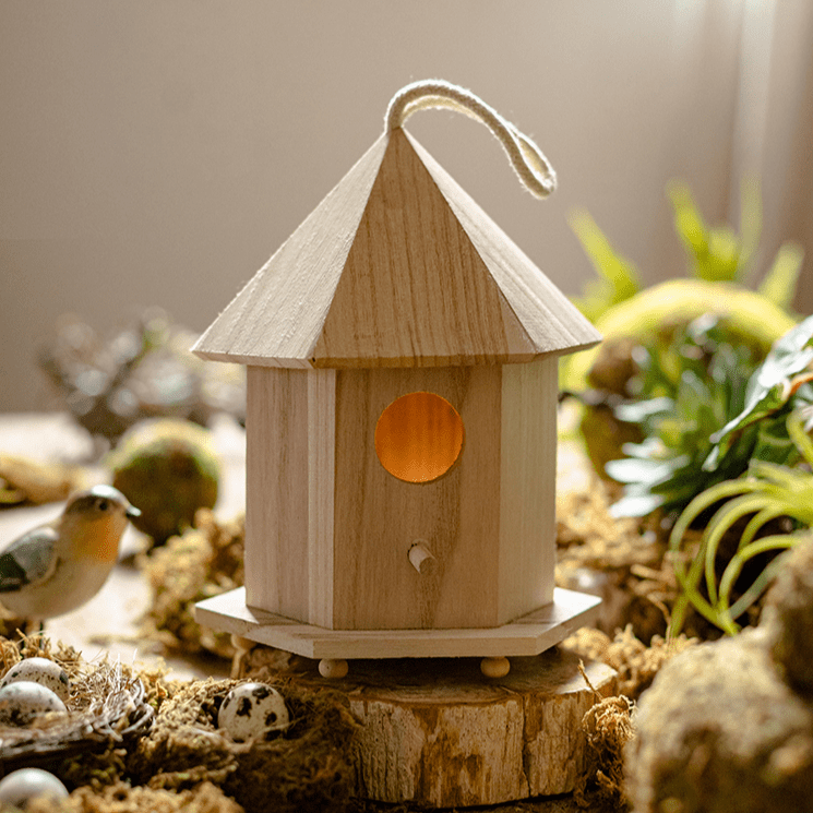 Natural solid wood birdhouse with conical roof, round entry hole, and hanging loop on a wood base on Tampa Home & Garden Store