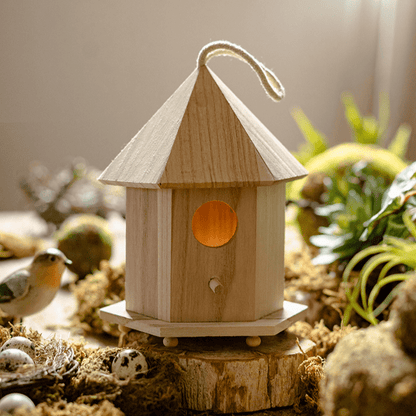 Natural solid wood birdhouse with conical roof, round entry hole, and hanging loop on a wood base on Tampa Home & Garden Store