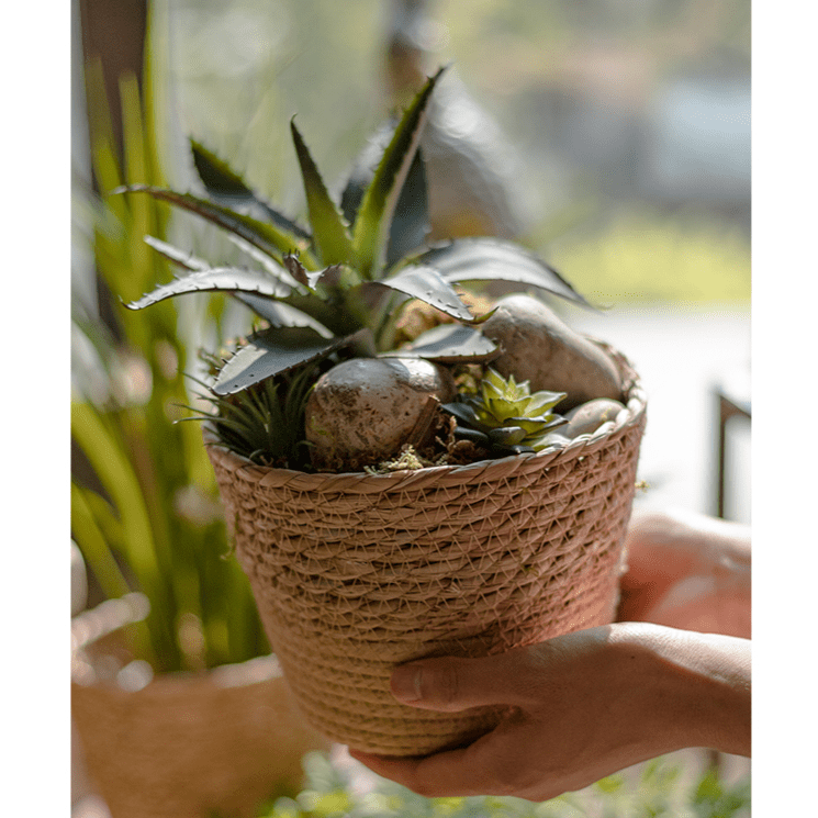 Natural Straw Desktop Flower Basket RusticReach with succulents in a woven basket held by hands on Tampa Home & Garden Store