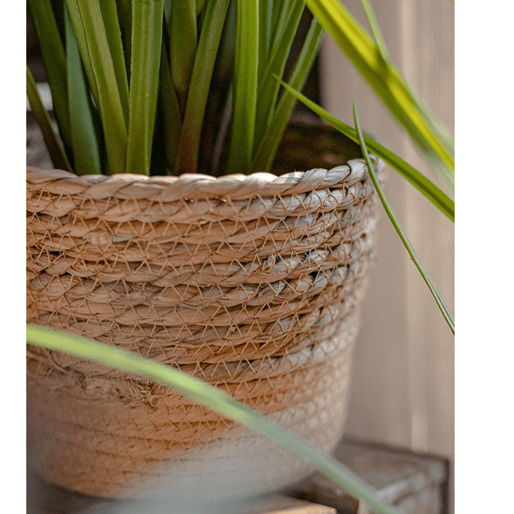 RusticReach natural straw desktop flower basket with green plant on Tampa Home & Garden Store