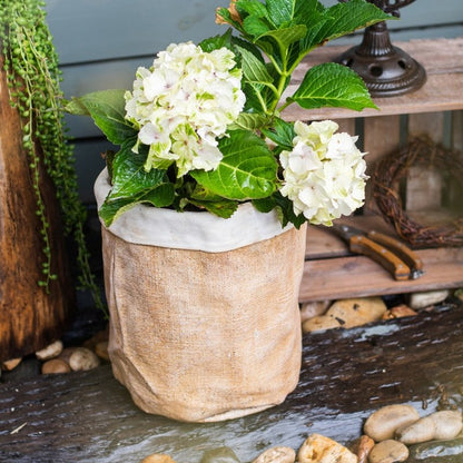 Paper Bag Style Concrete Garden Pot RusticReach burlap exterior white rim hydrangea on Tampa Home & Garden Store