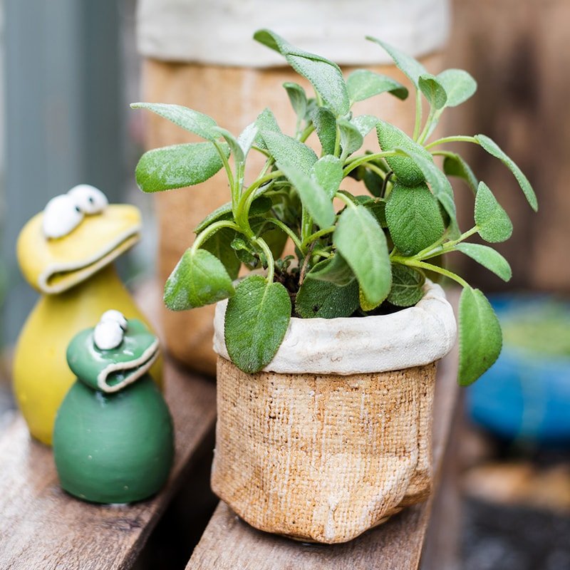 Paper Bag Style Concrete Garden Pot with green leafy plant by RusticReach on Tampa Home & Garden Store
