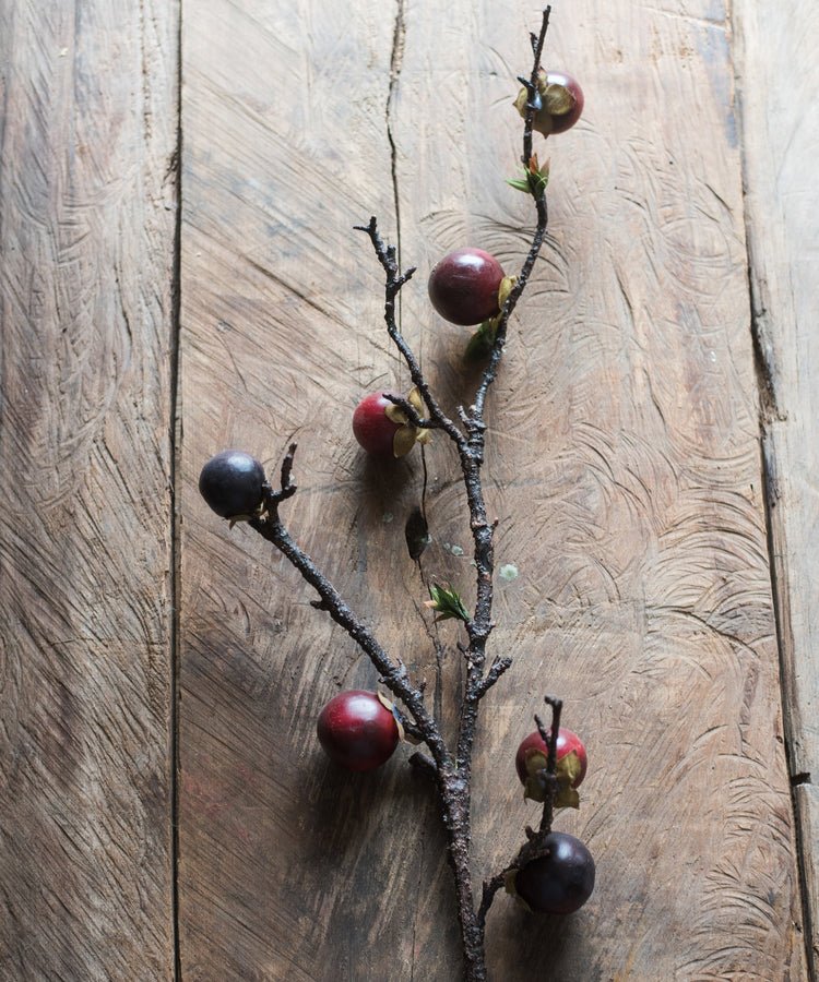 Artificial passion fruit stem silk plant with dark brown branches and red fruits, 37 in tall on Tampa Home & Garden Store