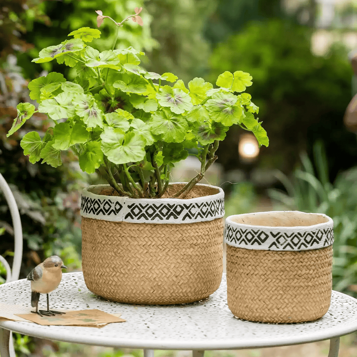 Patterned rattan cement planter with leaves; two natural planters with black band RusticReach on Tampa Home & Garden Store