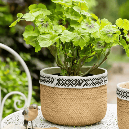 Patterned rattan cement planter by RusticReach, beige woven body with black geometric trim on Tampa Home & Garden Store