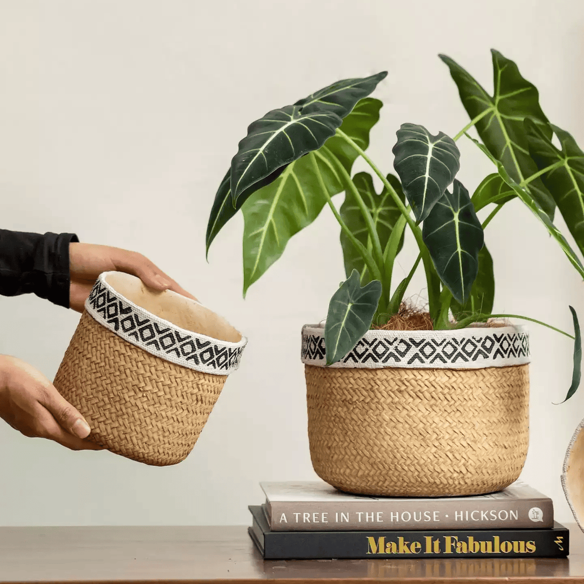 Patterned Rattan Cement Planter by RusticReach; two woven planters with black geometric rim on Tampa Home & Garden Store