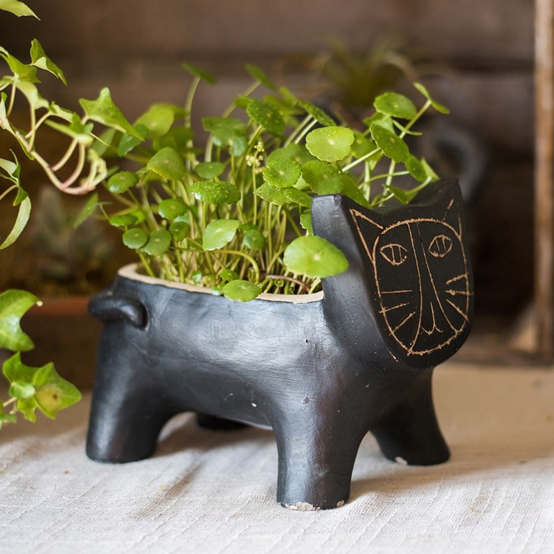 Cat-shaped small concrete planter in black with a chalk-drawn face, plant-filled on Tampa Home & Garden Store