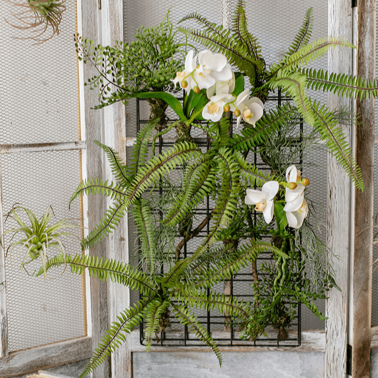 Artificial Faux Plant Metal Frame Wall Decor with ferns and white orchids RusticReach on Tampa Home & Garden Store