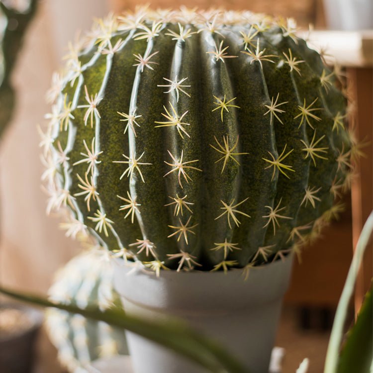 Artificial Faux Cactus Ball In Pot RusticReach; dark green ribbed sphere with cream spines on Tampa Home & Garden Store