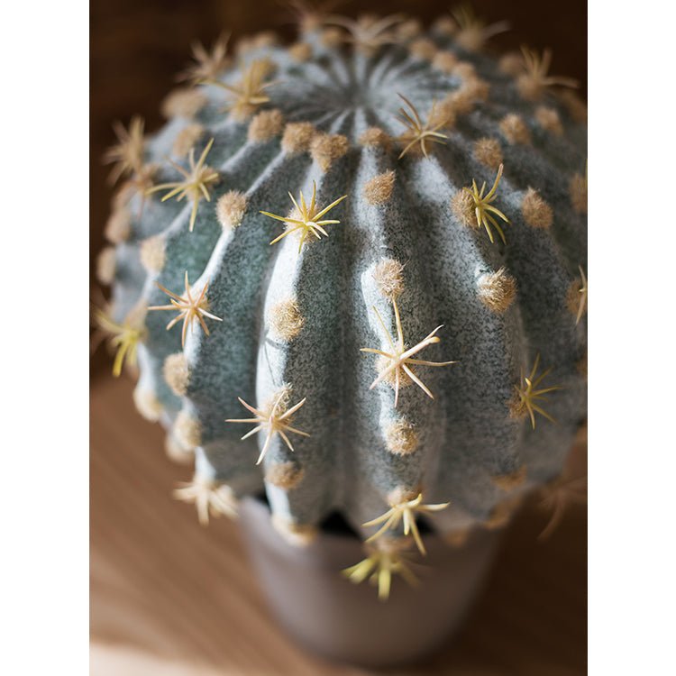 Artificial Faux Cactus Ball In Pot RusticReach, blue-green ribbed cactus with yellow spines on Tampa Home & Garden Store