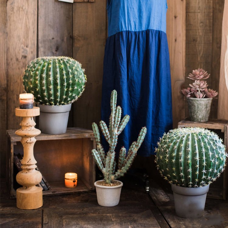 Two RusticReach artificial cactus balls in gray pots with spiny green bodies on Tampa Home & Garden Store