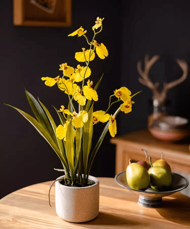 Potted faux Dancing Lady Orchid in a gray speckled ceramic pot on a wooden table on Tampa Home & Garden Store