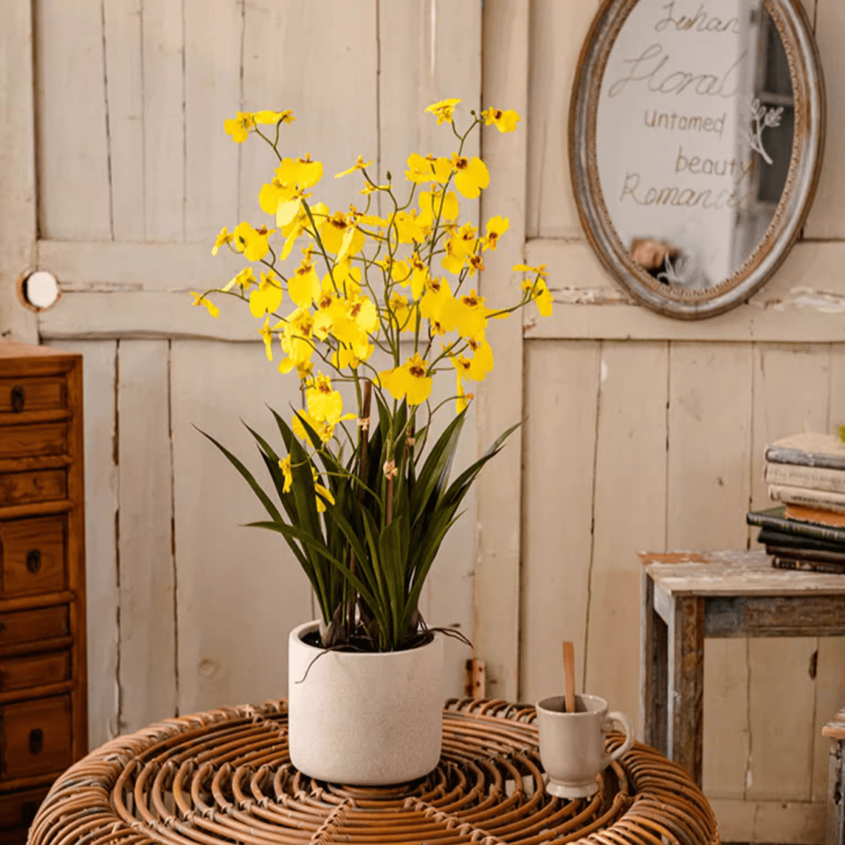 Potted faux Dancing Lady orchid, yellow blooms in white ceramic pot, RusticReach on Tampa Home & Garden Store