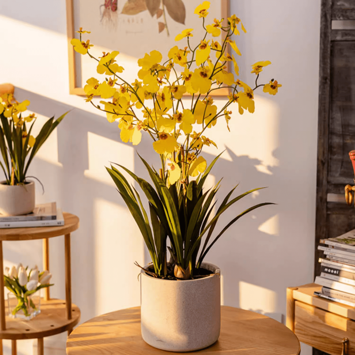 Potted faux Dancing Lady Orchid with bright yellow blooms in a ceramic pot by RusticReach on Tampa Home & Garden Store