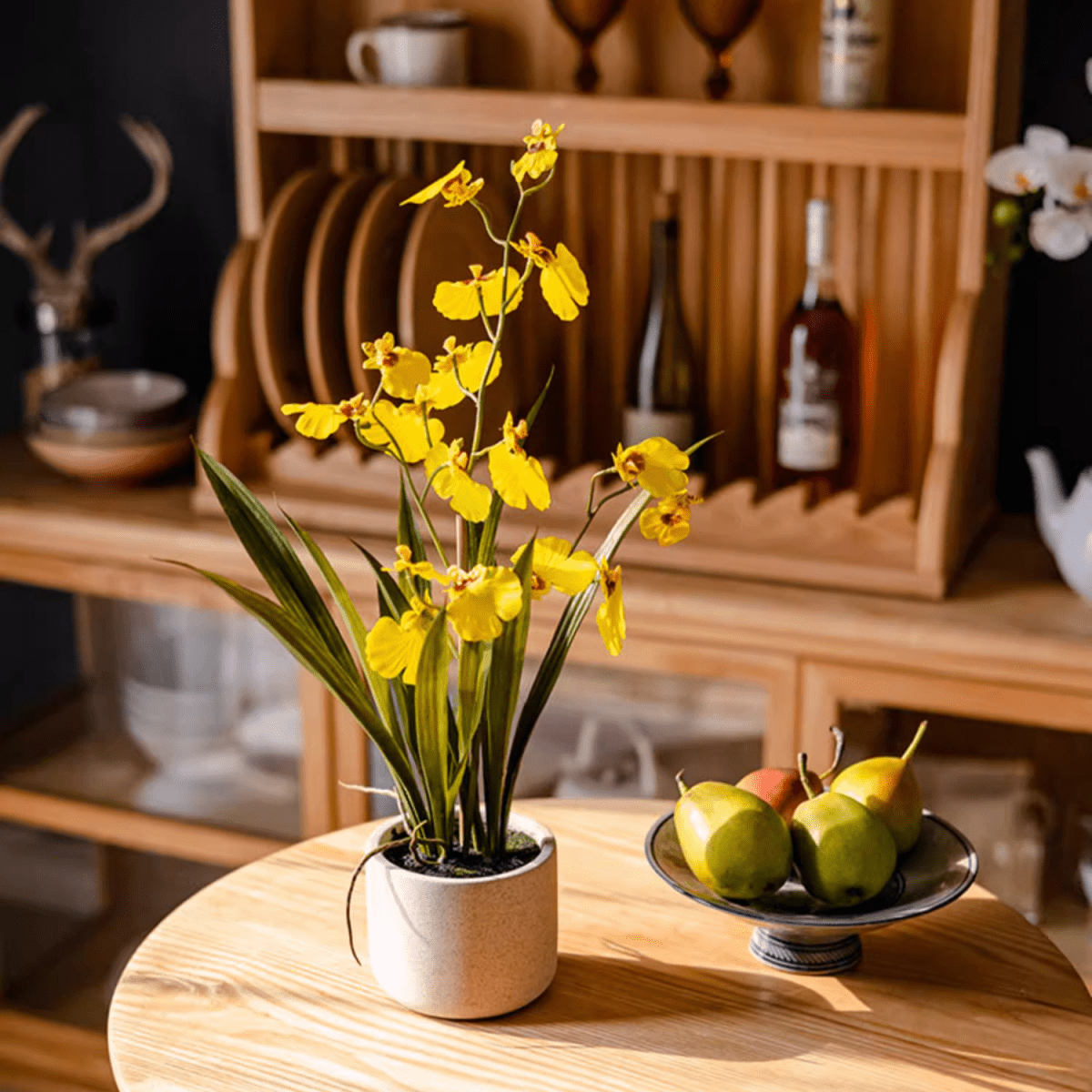Potted Faux Dancing Lady Orchid with yellow blooms in a ceramic pot RusticReach on Tampa Home & Garden Store