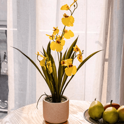 Potted Faux Dancing Lady Orchid by RusticReach with bright yellow blooms in a textured beige pot on Tampa Home & Garden Store