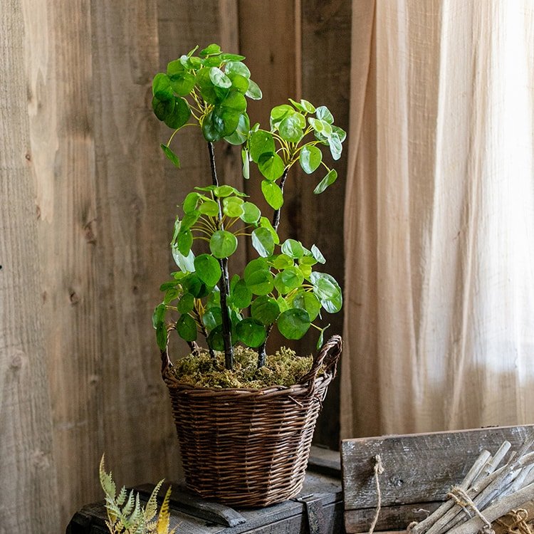 Artificial Pilea plant, 26in tall with bright green round leaves in a mossy woven basket on Tampa Home & Garden Store