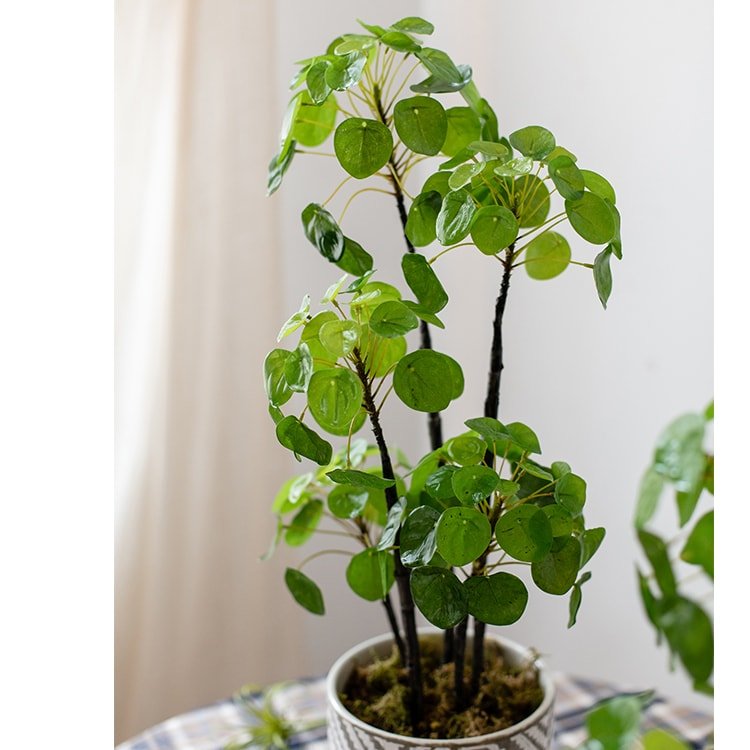 Artificial Pilea plant 26 inches tall in a ceramic pot with green leaves RusticReach on Tampa Home & Garden Store