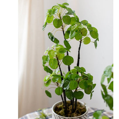 Artificial Pilea plant 26 inches tall in a ceramic pot with green leaves RusticReach on Tampa Home & Garden Store