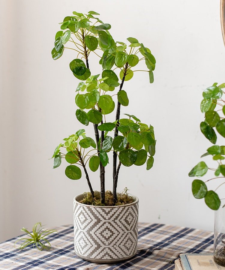 Artificial Pilea plant 26-inch tall in a gray geometric pot with round green leaves on Tampa Home & Garden Store