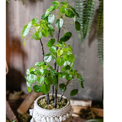 Artificial Pilea plant 26-inch tall with glossy green leaves in a macrame pot RusticReach on Tampa Home & Garden Store
