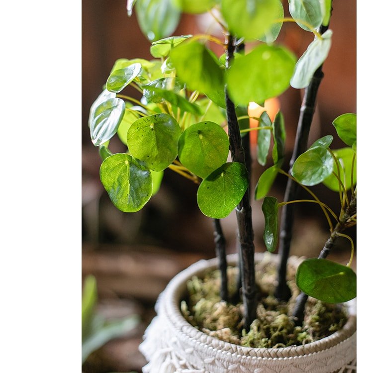 Artificial Pilea plant 26 in tall in white pot with dark stems and green leaves RusticReach on Tampa Home & Garden Store
