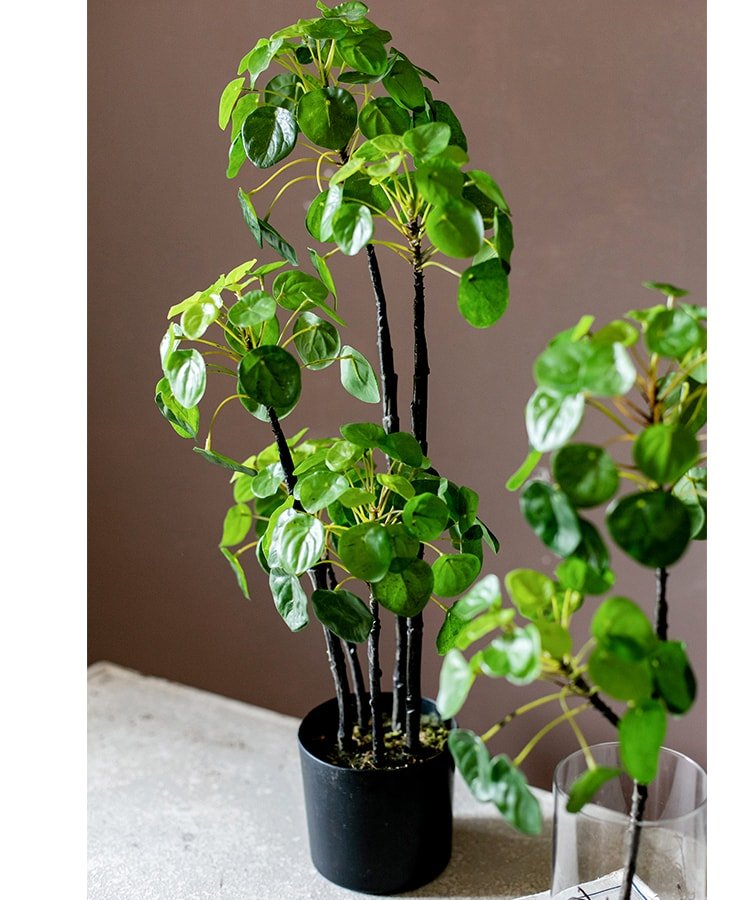 Artificial Pilea plant, 26 inches tall, with glossy green leaves in a black pot nonflowering on Tampa Home & Garden Store