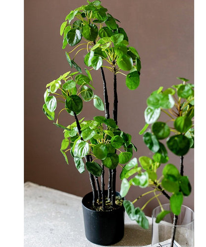 Artificial Pilea plant, 26 inches tall, with glossy green leaves in a black pot nonflowering on Tampa Home & Garden Store