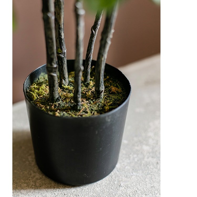 Artificial Pilea plant in black pot, 26 tall with multiple stems RusticReach non-flowering decor on Tampa Home & Garden Store