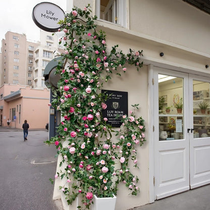 Pink Rose flower wall climbing vines by RusticReach flowering plants for outdoor events on Tampa Home & Garden Store