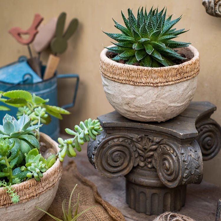 Rattan Pattern Edge Cement Planter by RusticReach with natural rattan edge and green succulent on Tampa Home & Garden Store
