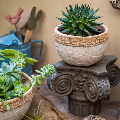 Rattan Pattern Edge Cement Planter by RusticReach with natural rattan edge and green succulent on Tampa Home & Garden Store