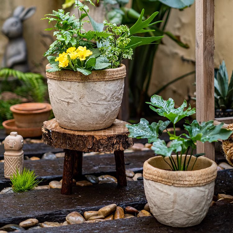 Rattan Edge Cement Planter 2-pack in light gray with natural edge RusticReach planters on Tampa Home & Garden Store
