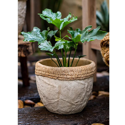 Rattan Pattern Edge Cement Planter gray cement pot with woven rim and leafy plant on Tampa Home & Garden Store