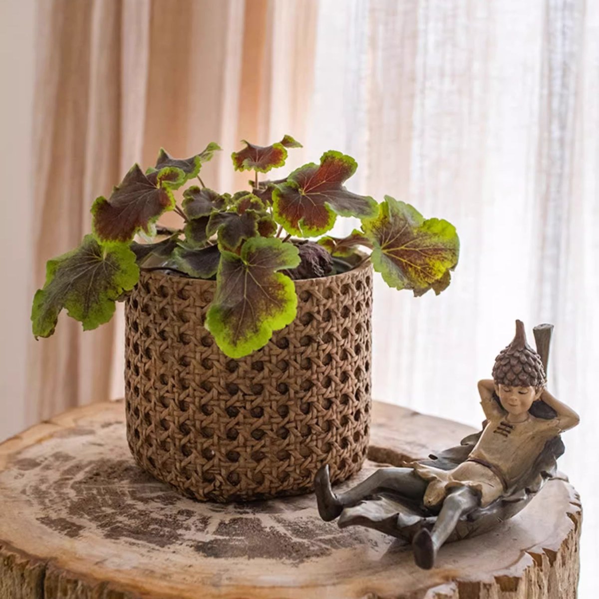 Rattan Texture Cement Planter RusticReach brown woven vessel with green leaves on Tampa Home & Garden Store