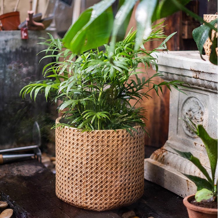 Rattan texture cement planter by RusticReach with lush green foliage on Tampa Home & Garden Store