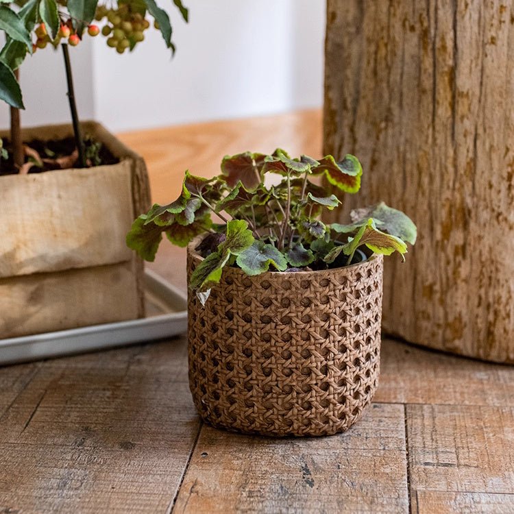 Rattan texture cement planter with green leafy plant RusticReach planter on Tampa Home & Garden Store