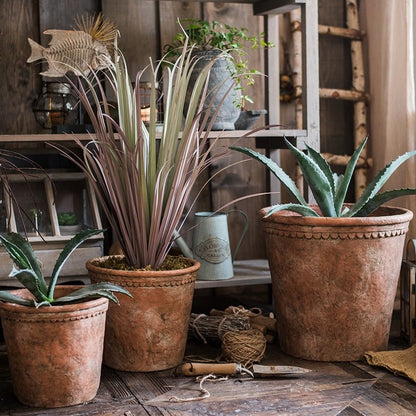 Terracotta red concrete planter pots (3) with aloe and grasses on a rustic wooden shelf on Tampa Home & Garden Store