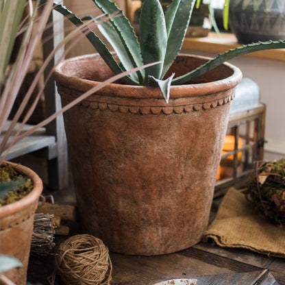 Large terracotta red concrete planter pot with an aloe plant and decorative rim on Tampa Home & Garden Store