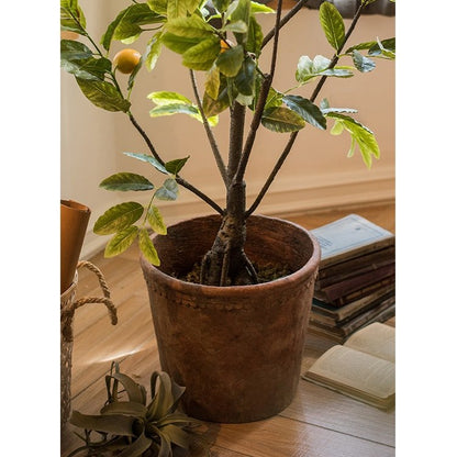 Large terracotta red concrete planter pot by RusticReach with leafy indoor plant on Tampa Home & Garden Store