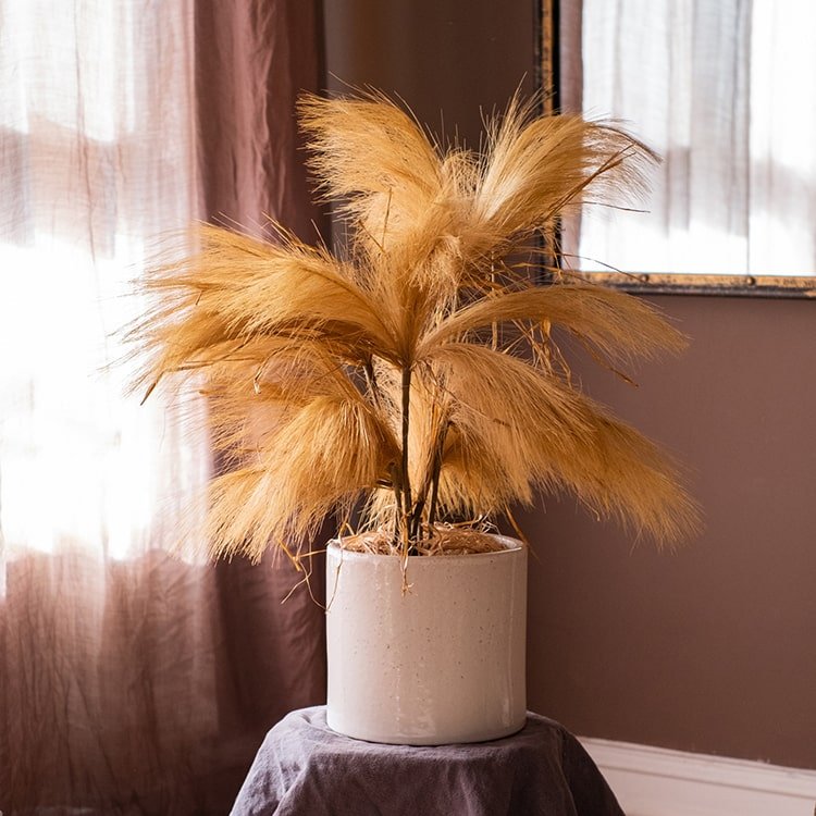 Faux reed grass stem in warm tan tones in a ceramic pot RusticReach 30 inches tall on Tampa Home & Garden Store