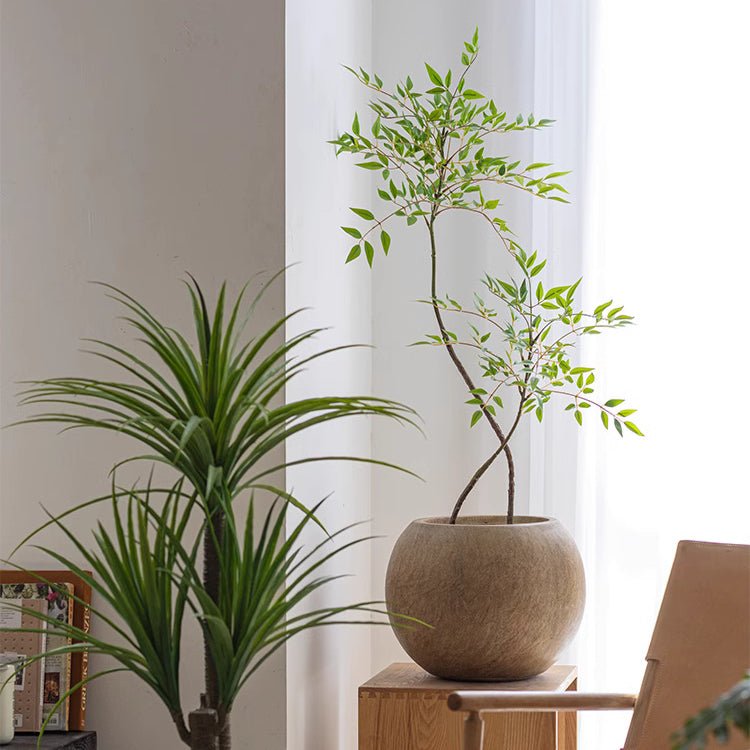 Round magnesium clay planter by RusticReach in earthy beige with a small leafy tree on Tampa Home & Garden Store