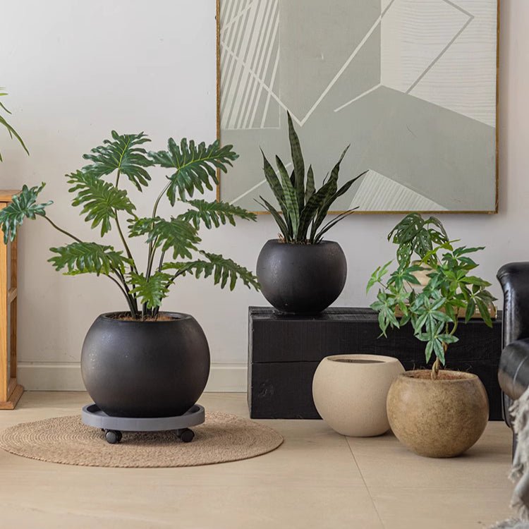 Round Magnesium Clay Planter in black by RusticReach on rolling base with planters nearby on Tampa Home & Garden Store